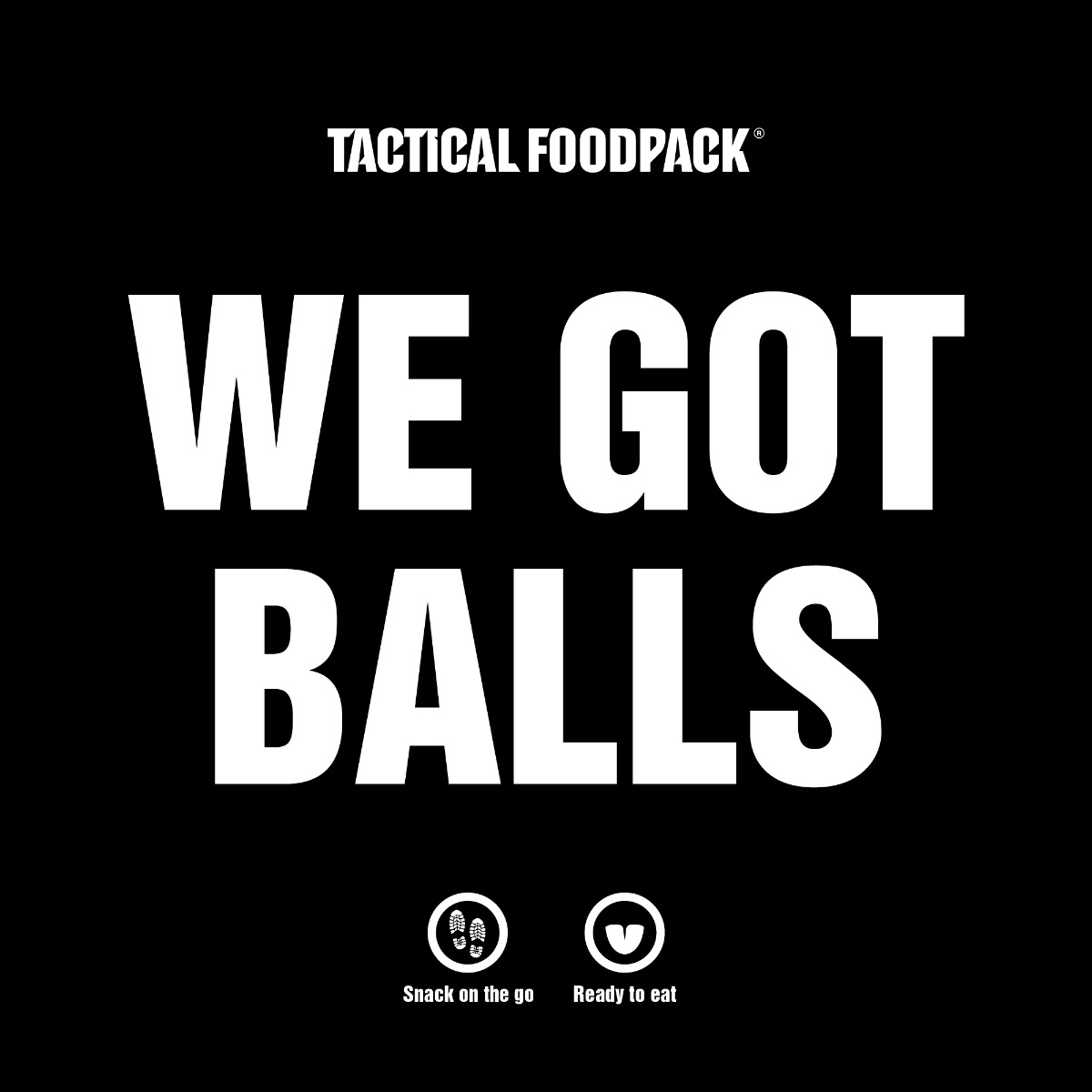 TACTICAL FOODPACK, dehidrirana hrana, suhi dnevni obrok, dehidrirana hrana za kampiranje, vojaška hrana, mre obrok, sdo hrana, liofilizirana hrana, hrana za preživetje, suhi vojaški dnevni obrok, B33 Tactical, B33 army shop, army shop, trgovina z vojaško opremo