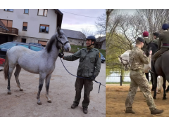 AKU TACTICAL škorenj PILGRIM GTX COMBAT je uporaben tudi pri delu na tleh s konji